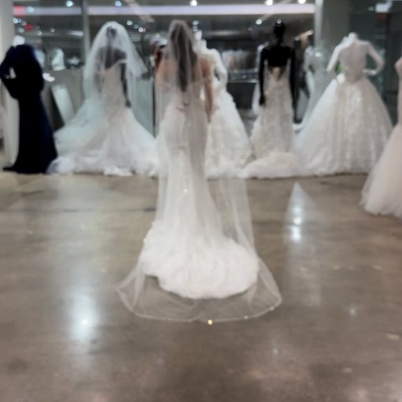 Crystal Wedding Veil: Brand New main image 5